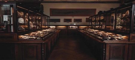 Mineral specimens in wooden display cases inside Vienna’s Natural History Museum