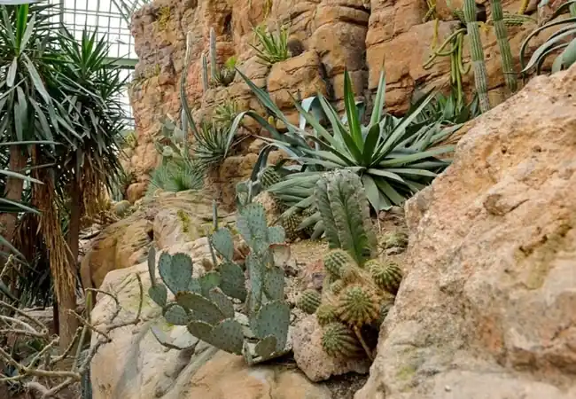 Desert House Schonbrunn Palace