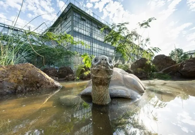 Desert House Schonbrunn Palace