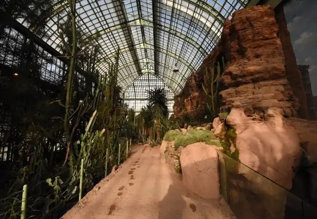 Desert House Schonbrunn Palace