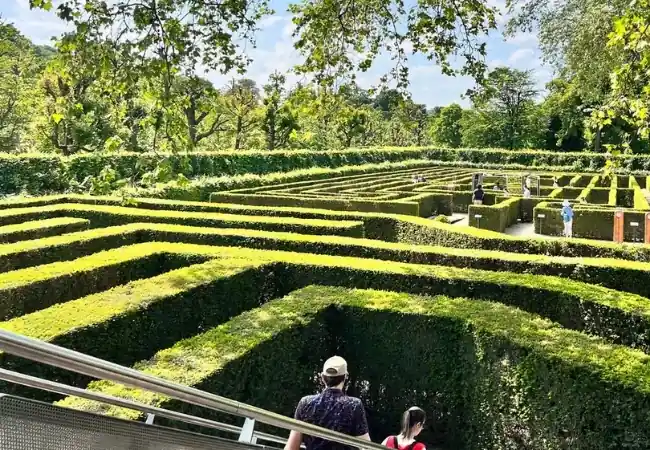 Maze Labyrinth Schonbrunn