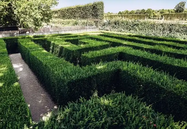 Maze Labyrinth Schonbrunn
