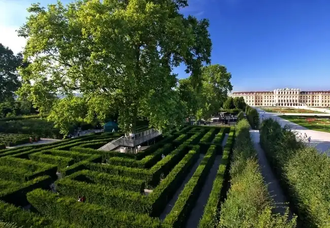 Maze Labyrinth Schonbrunn