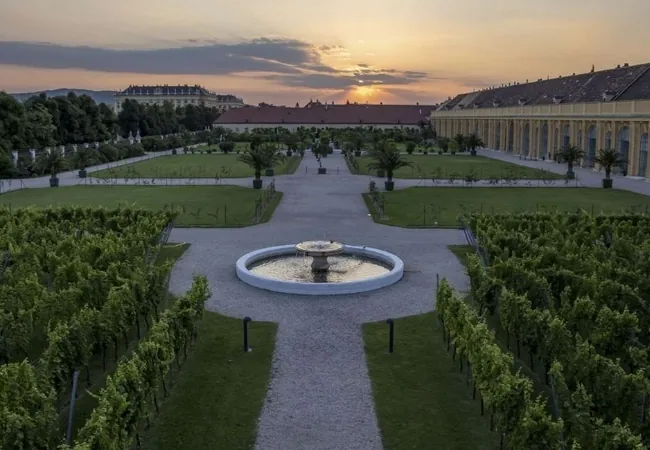 Orangery Garden Schonbrunn