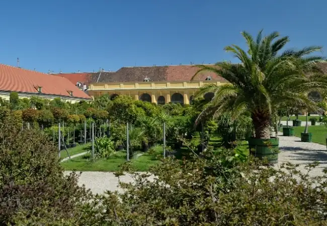 Orangery Garden Schonbrunn