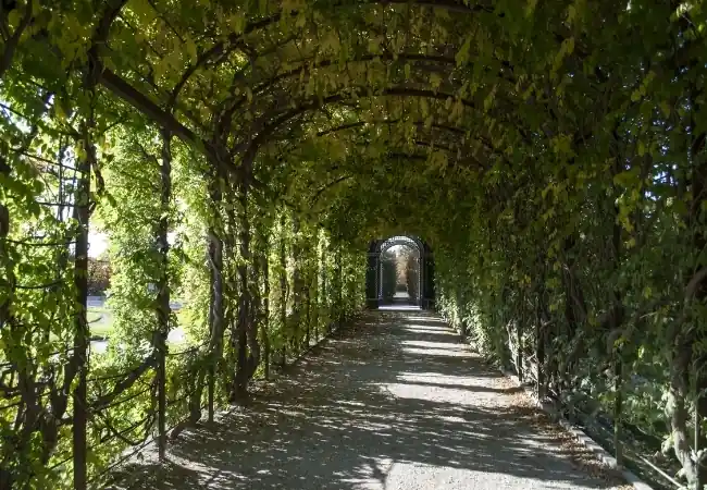 Privy Garden Kronprinzengarten 