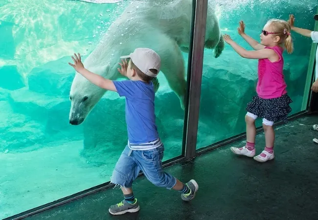 Schonbrunn Zoo Vienna