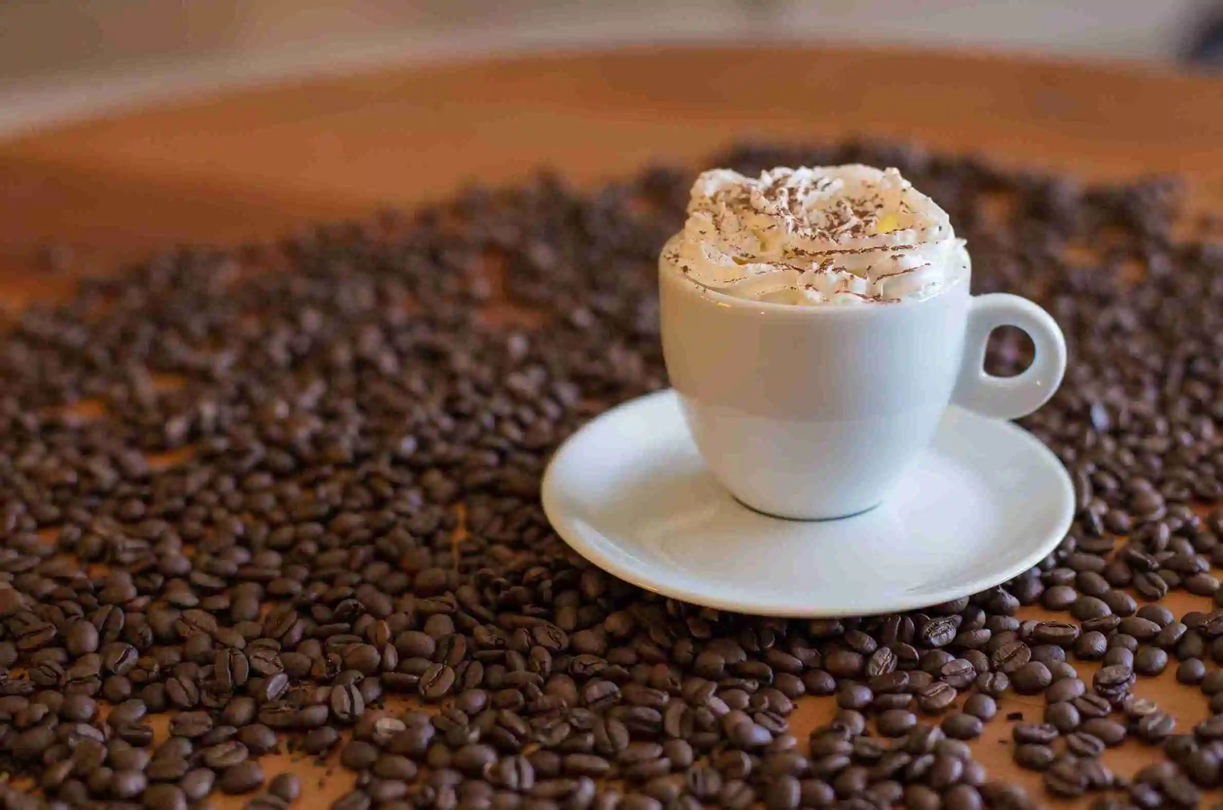 Vienna Coffee Culture And Iconic Cafés
